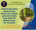Image du bien UBI372786592